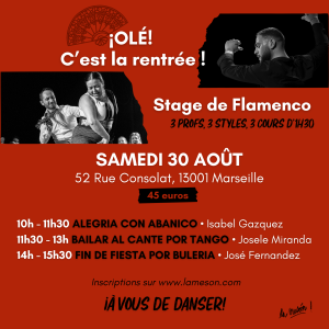 STAGE FLAMENCO SUMMER MESON